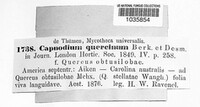 Image Associated With the Occurence